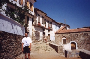 irince